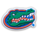 University of Florida Jibbitz™ charms - Crocs