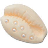 Pearl Puka Shell Jibbitz™ charms - Crocs